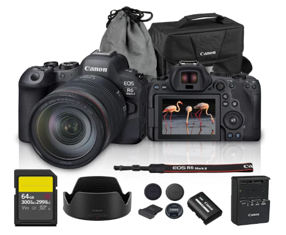 Canon EOS R6 Mark II - Image 3