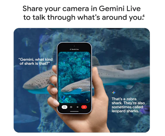 Google Pixel 10 Pro XL - Reacondicionado - Image 4