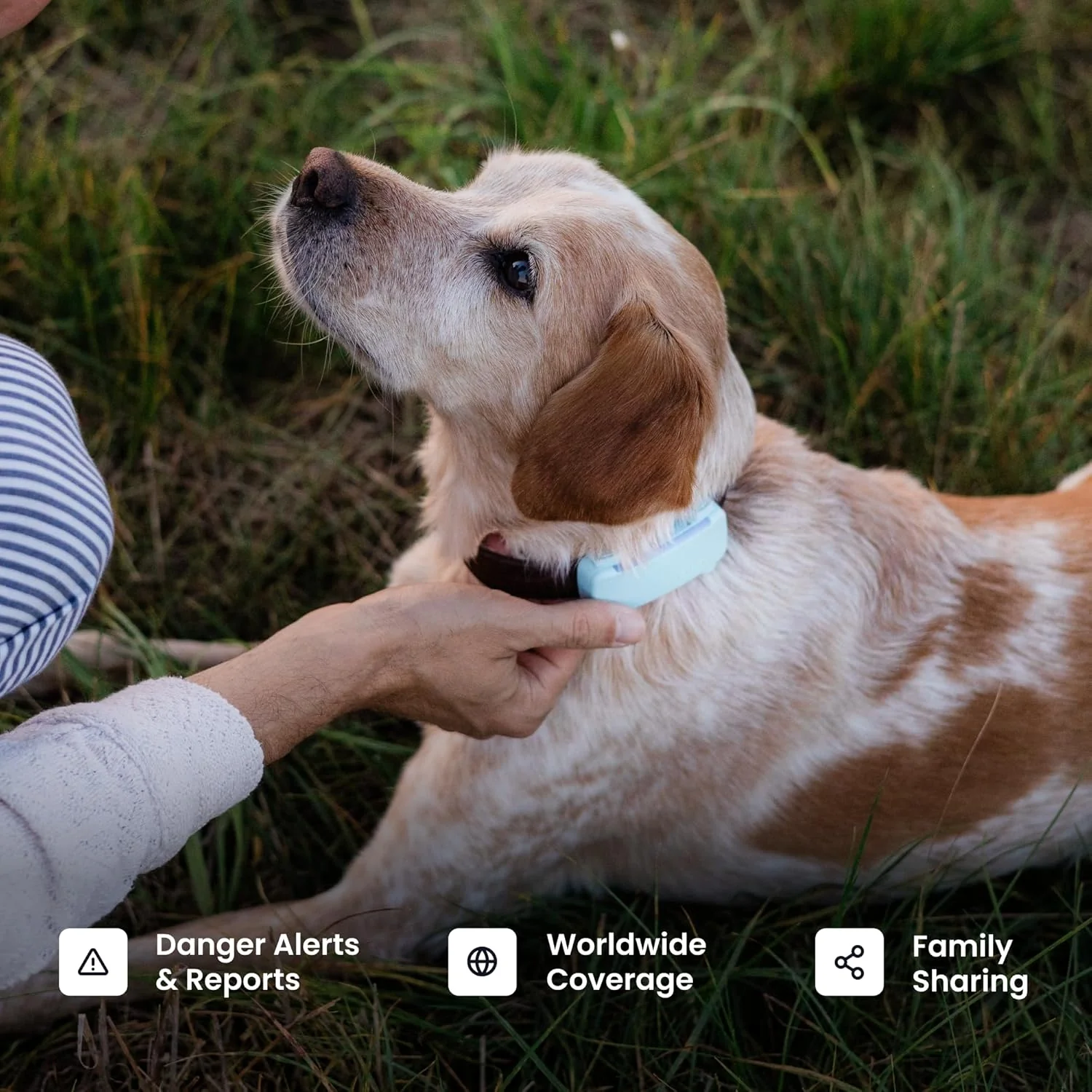 Collar GPS Tractive: Localizador y Salud Animal - Image 8