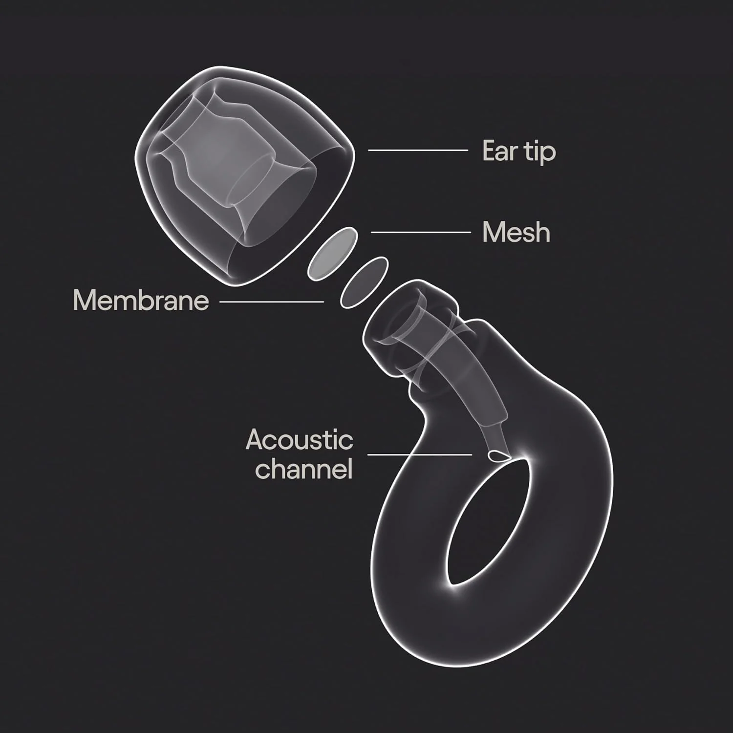 Tomorrowland x Loop Experience 2 Tapones para los oídos – Elegante protección auditiva para conciertos y festivales, música en vivo, vida nocturna y músicos – Tapones para los oídos con reducción de ruido de 17 dB (alta fidelidad) – Edición limitada - Image 6